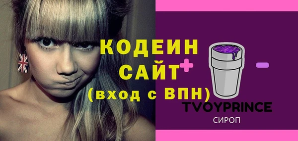 гидра Бородино
