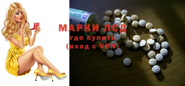 гидра Бородино