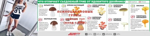 ГАЛЛЮЦИНОГЕННЫЕ ГРИБЫ Верея
