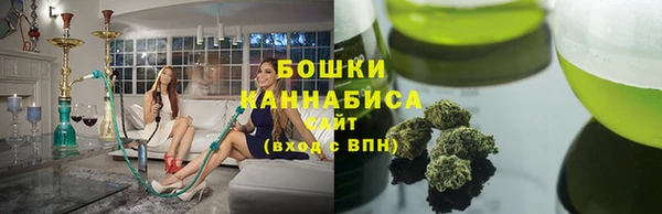 гидра Бородино
