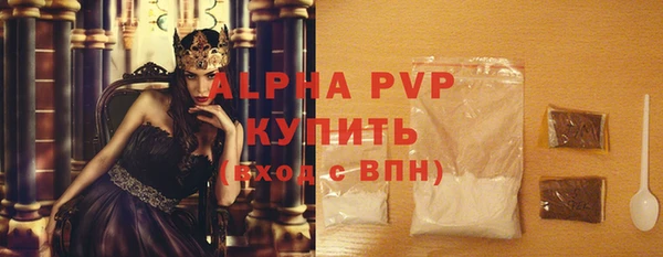 гидра Бородино