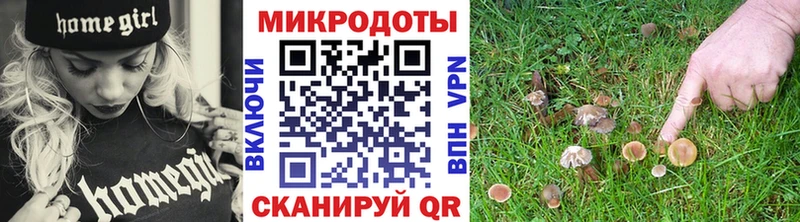 Купить  Плавск  Галлюциногенные грибы Psilocybe 